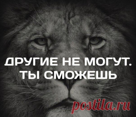 Никита Иванов