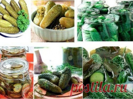 МАЛОСОЛЬНЫЕ ОГУРЦЫ. 8 РЕЦЕПТОВ