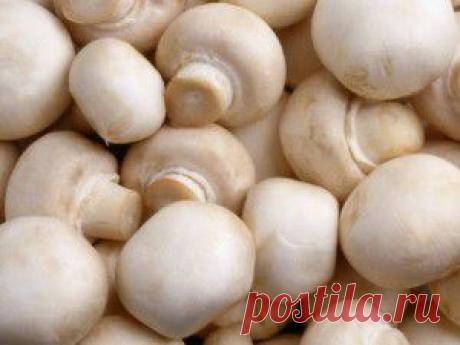 Блюда из шампиньонов - рецепт с фото