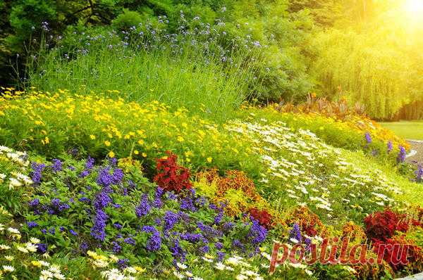 Сад в стиле русской усадьбы