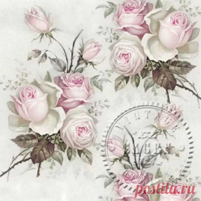 «s1200 (1000×1000)» — карточка пользователя Татьяна С. в Яндекс.Коллекциях