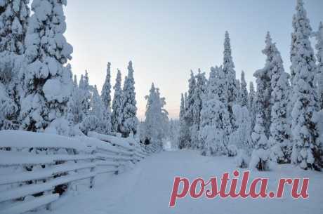 Tour of the New Year's holiday &quot;Winter Dreams Seliger&quot;
  Two festive arrival Seliger is beautiful in any season.
  We offer you to discover Seliger in the winter decoration, luxury and grandeur of snow silence.CONTACT US ON THE SITE: www.polclub.ru
CALL WAITING !!