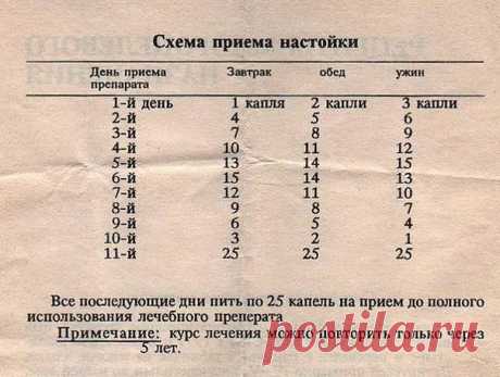 ЛЕЧЕБНЫЕ ТРАВЫ- Лечение народной медициной | ЗОЖ
