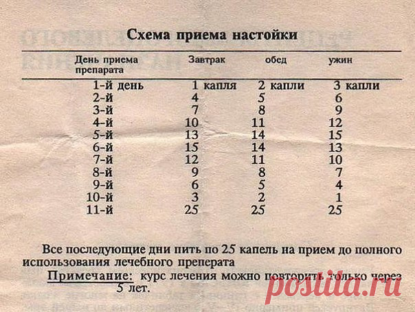 ЛЕЧЕБНЫЕ ТРАВЫ- Лечение народной медициной | ЗОЖ