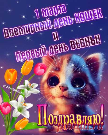 Поздравляю с праздником всех кошек!
Мягких, добрых, ласковых, пушистых,
И больших, и маленьких, и крошек,
Белых, черных, рыжих и пятнистых!