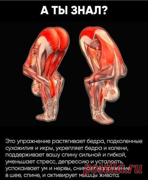 Поклоны нормализуют давление

Различные заболевания человека, в том числе и связанные с перепадами артериального давления, возникают, когда происходит уменьшение циркуляции энергетики ног. Стопы ног являются главным «выходом» отработанной энергии, а также через стопы человек наполняется жизненной вибрацией Земли.

Современные люди вообще малоподвижны, а уж про ходьбу босиком по сырой земле нет и речи.

Застой отработанной энергии нарастает и поднимается вверх. Сердцу все т...