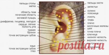 ХОТИТЕ БЫТЬ ЗДОРОВЫМИ? ДЕЛАЙТЕ МАССАЖ УШЕЙ!