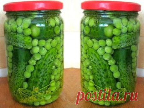 Однокласники