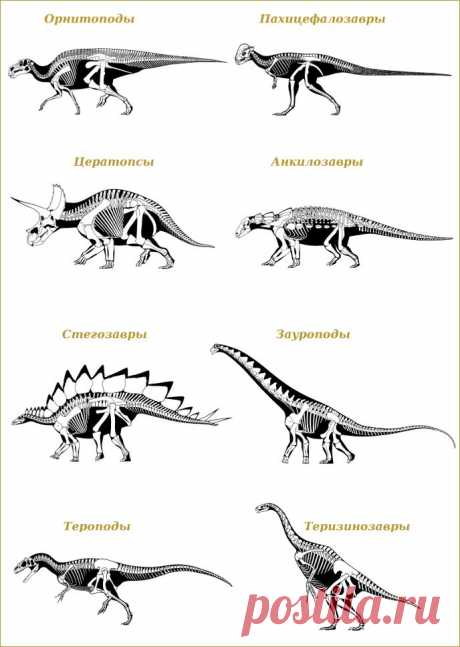 Динозавры онлайн dinosaurs, бесплатно динозавры хищные, фото динозавры юрского периода, доисторические динозавры в картинках, самый большой динозавр, виды динозавров энциклопедия, скелет динозавра, названия динозавров эпоха, ихтиозавры, плезиозавры, зверозубые ящеры летающие, ящеры древние пресмыкающиеся ископаемые рептилии, lbyjpfdhs, скачать динозавры игры динозавры играть в динозавров фильмы про динозавры видео, мультфильмы про динозавров мультики