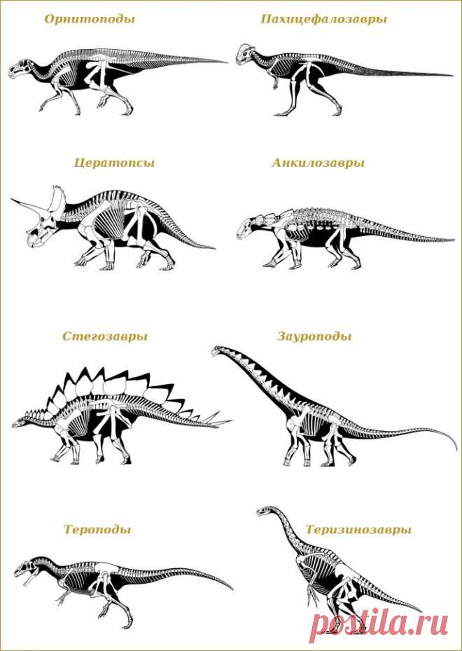 Динозавры онлайн dinosaurs, бесплатно динозавры хищные, фото динозавры юрского периода, доисторические динозавры в картинках, самый большой динозавр, виды динозавров энциклопедия, скелет динозавра, названия динозавров эпоха, ихтиозавры, плезиозавры, зверозубые ящеры летающие, ящеры древние пресмыкающиеся ископаемые рептилии, lbyjpfdhs, скачать динозавры игры динозавры играть в динозавров фильмы про динозавры видео, мультфильмы про динозавров мультики