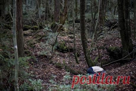 В Японии из-за пандемии выросло число самоубийств впервые за 11 лет | Новости в мире сегодня – Читать свежие новости мира, новости в мире сегодня, новости дня в мире в интернет-издании «Вестник»