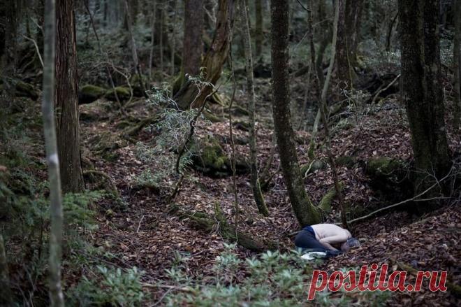 В Японии из-за пандемии выросло число самоубийств впервые за 11 лет | Новости в мире сегодня – Читать свежие новости мира, новости в мире сегодня, новости дня в мире в интернет-издании «Вестник»