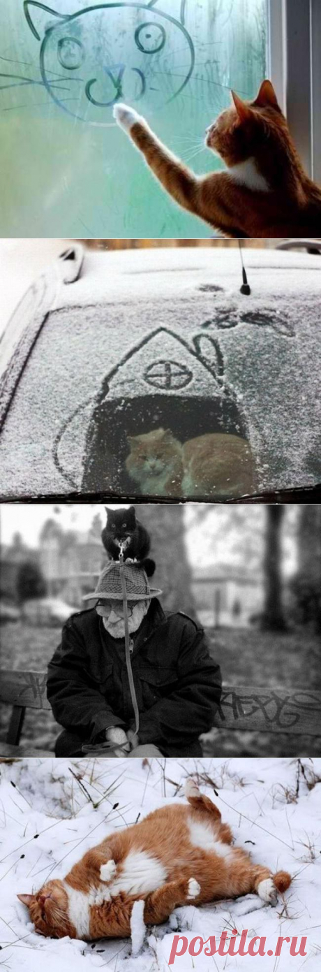 Весело зимуем!!!