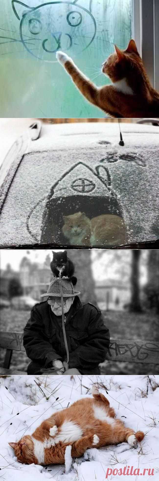 Весело зимуем!!!