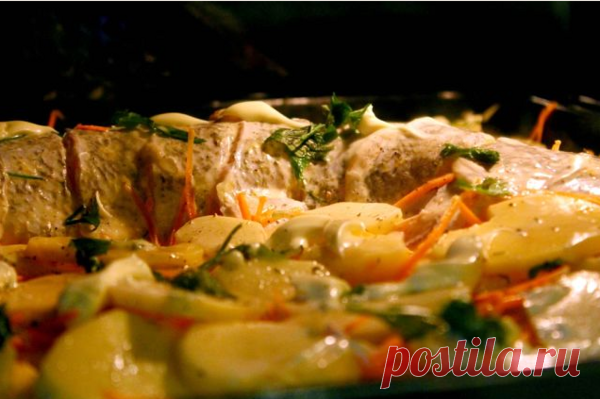 Щука под сметаной с овощами | Кулинарим вместе | Яндекс Дзен