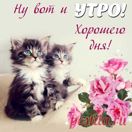 С Добрым утром!
Этот день пусть лучшим станет!
Сделай воздуха глоток.
Запах голову дурманит,
Ну вставай же, Ангелок!
