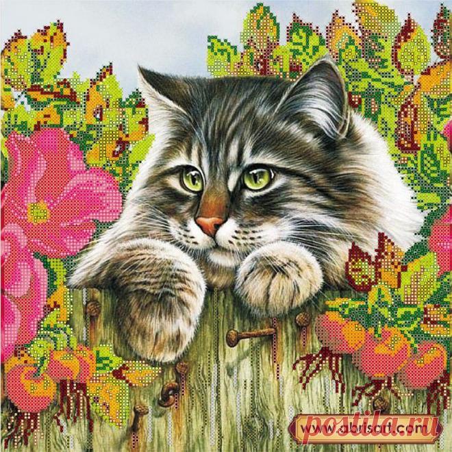 (1) Одноклассники