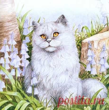 Кошки Debbie Cook (Дебби Кук)