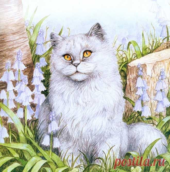 Кошки Debbie Cook (Дебби Кук)