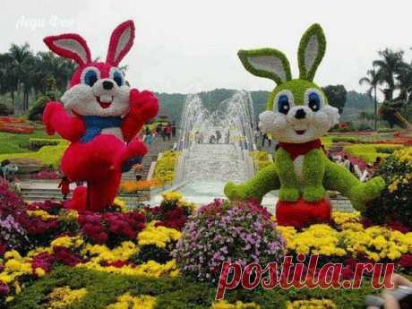 Новости