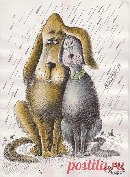 Пуси-пуси юмор для девушек и женщин. Подборка прикольных картинок и фото №ofigennaja-57410314012020 | Офигенная