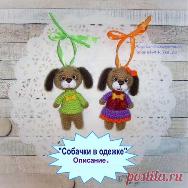 Собачки в одежке