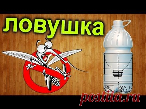 Как сделать РАПТОР (ловушку) для комаров своими руками