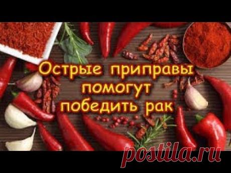 СОЗДАНА ПРИПРАВА ОТ РАКА И АНЕМИИ ЖЕЛЕЗОСОДЕРЖАЩАЯ