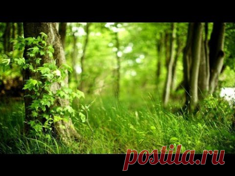 Плеяды. Ченнелинг 30.06.2015. Реинкарнация. Продолжение. | Верхосвет