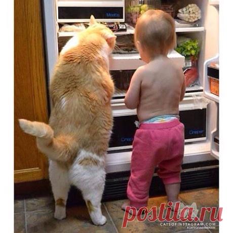 Мой Мир@Mail.Ru
