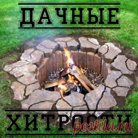 ПОЛНОЕ СОБРАНИЕ ДАЧНЫХ ХИТРОСТЕЙ ДЛЯ САДОВОДОВ И ОГОРОДНИКОВ! ПОЛНОЕ СОБРАНИЕ ДАЧНЫХ ХИТРОСТЕЙ ДЛЯ САДОВОДОВ И ОГОРОДНИКОВ! 1. Свекла любит полив методом дождевания и частые, но осторожные рыхления. 2. После второго прореживания свеклу подкармливают минеральными…