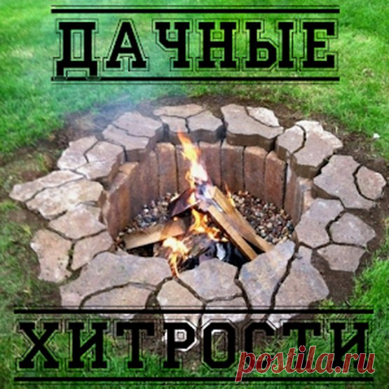 ПОЛНОЕ СОБРАНИЕ ДАЧНЫХ ХИТРОСТЕЙ ДЛЯ САДОВОДОВ И ОГОРОДНИКОВ! ПОЛНОЕ СОБРАНИЕ ДАЧНЫХ ХИТРОСТЕЙ ДЛЯ САДОВОДОВ И ОГОРОДНИКОВ! 1. Свекла любит полив методом дождевания и частые, но осторожные рыхления. 2. После второго прореживания свеклу подкармливают минеральными…