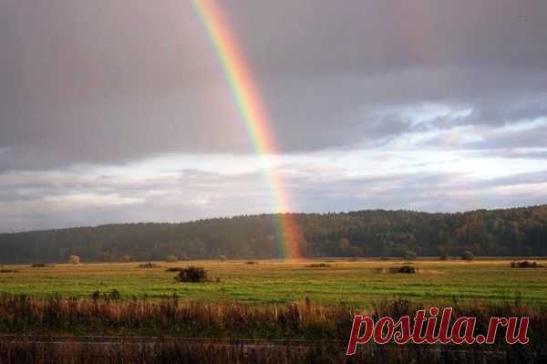 Радуга..