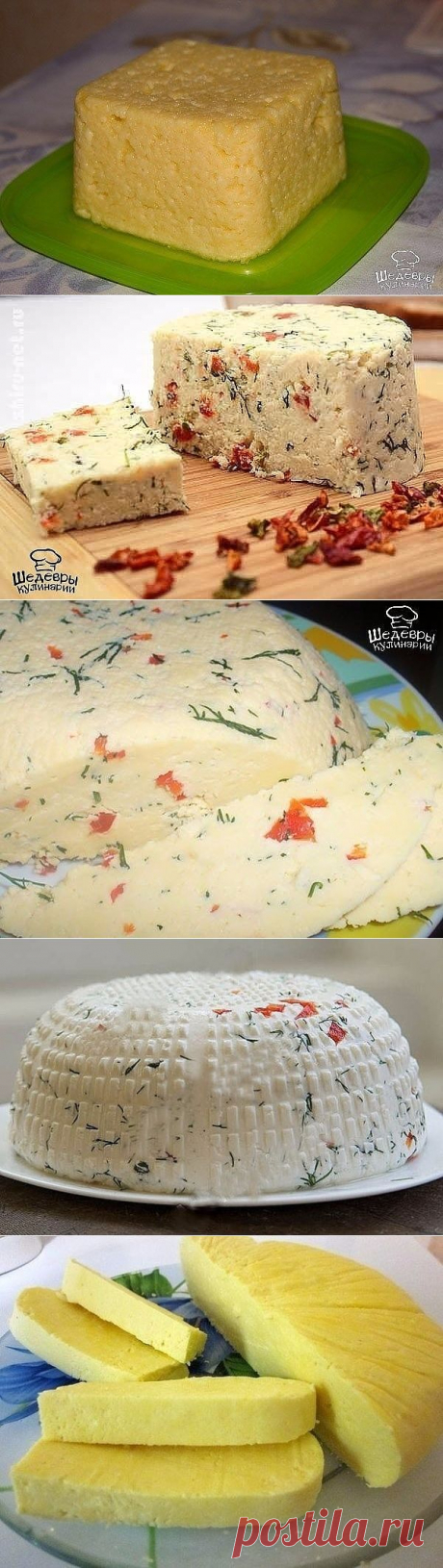 ДОМАШНИЕ СЫРЫ