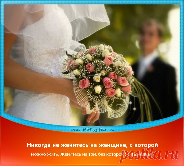 Позитивчики Недели (смотреть фото)