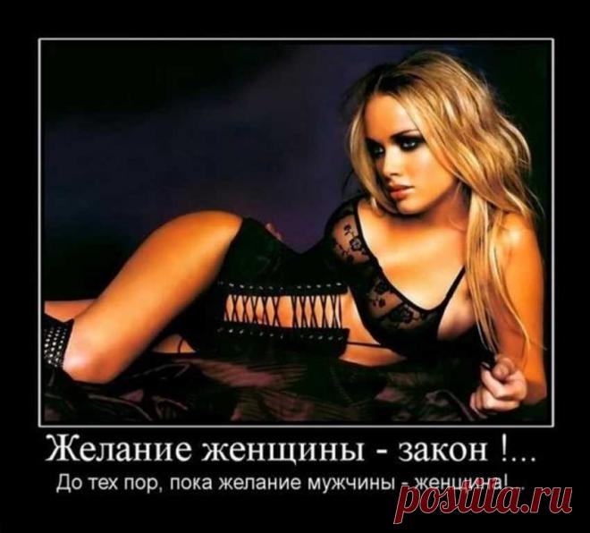 Телефонный разговор как поток сознания девушки-блондинки - Divno.info