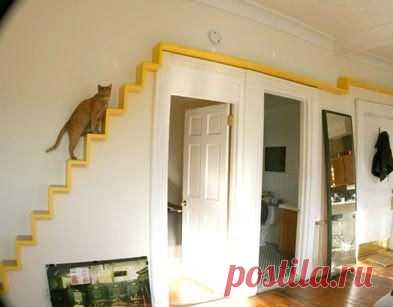 Make your pet a part of your life and home. A few ideas for how to make your apartment ready for a furry guest