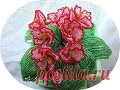 Одноклассники