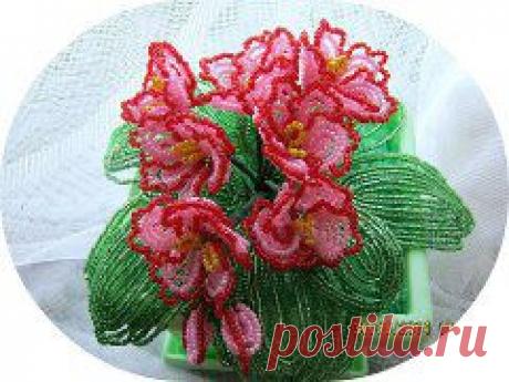 Одноклассники