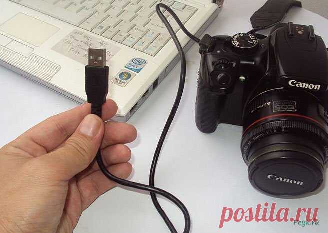 Почему компьютер не видит фотоаппарат? | Выживи сам