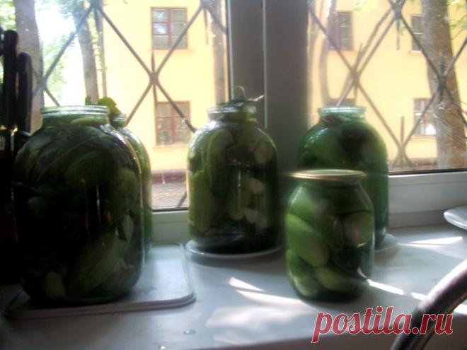 Засолка огурцов Ацкий рецептик огурцы суперхрустящие