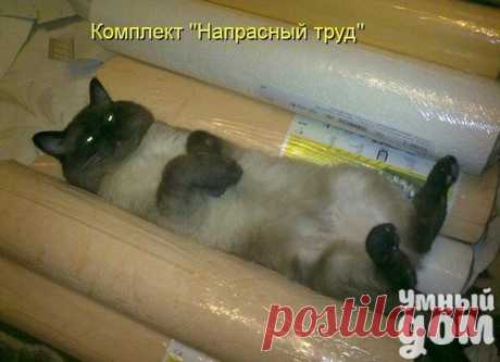 Фотографии на стене сообщества | 32 919 фотографий