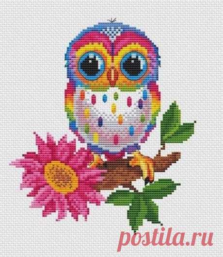 (12) Facebook