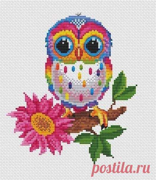 (12) Facebook