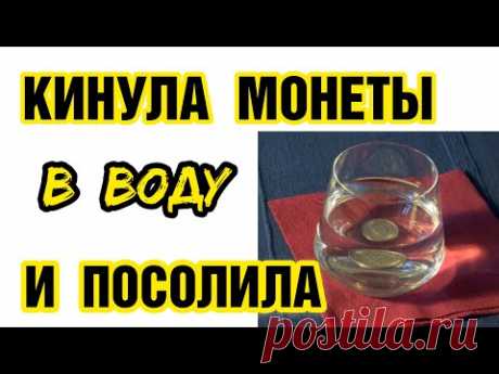 ВОТ ТУТ и НАЧАЛИ ИДТИ ДЕНЬГИ !