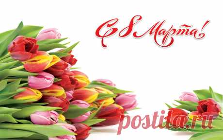 nastol.com.ua-89218.jpg (1680×1050)