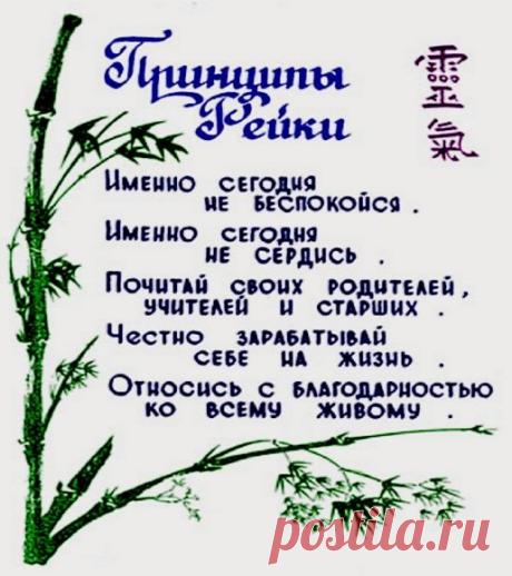 5 принципов Рейки
Пять очень простых принципов, которые стоят того, чтобы следовать им и особенно проговаривать себе каждое утро!
Рейки – это не религия, а система естественного исцеления, появишаяся в конце XIX, начале XX столетия.