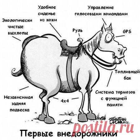 Интересные новости
