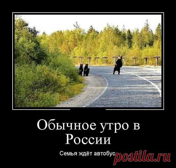 Утро в России - Просто о сложном!