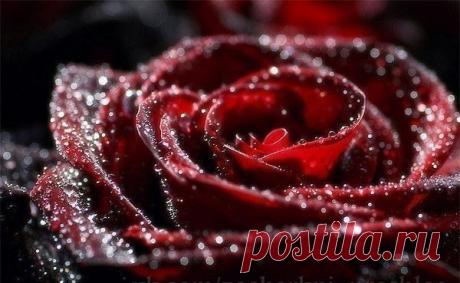 Валентина Неверова